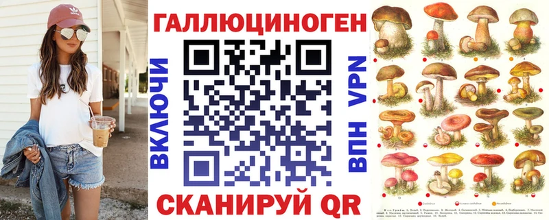 закладки Алдан Галлюциногенные грибы Psilocybine cubensis